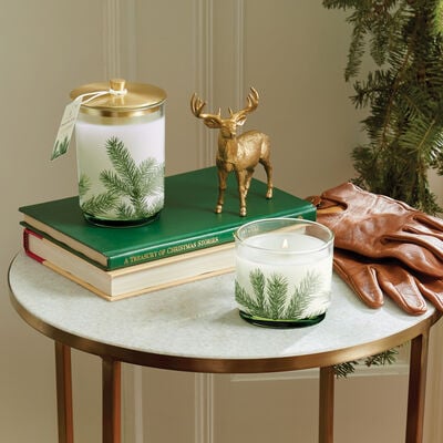 Small and Medium Thymes Frasier Fir Heritage Pine Needle Luminary Candles